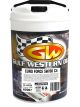 Gulf Western Euro Force 5W-30 Fully Synthetic Engine Oil 20L