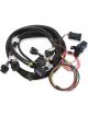 Holley Fuel Injection System Wiring Harness Holley EFI Multi-port V4